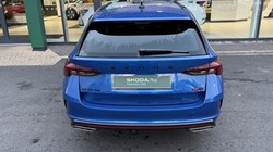 2023 (73) SKODA OCTAVIA 2.0 TDI 200 vRS 4x4 5dr DSG 5006805