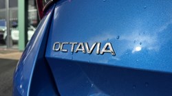 2025 (74) SKODA OCTAVIA 2.0 TDI 150 SE Technology 5dr DSG 4719394