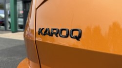 2023 (23) SKODA KAROQ 2.0 TSI Sportline 4x4 5dr DSG 4725782