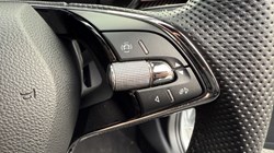 2022 (22) SKODA FABIA 1.0 TSI 110 Monte Carlo 5dr 4734553