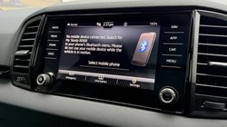 2024 (24) SKODA KAROQ 2.0 TSI Sportline 4x4 5dr DSG 4744232