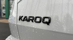 2024 (24) SKODA KAROQ 2.0 TSI Sportline 4x4 5dr DSG 4744194