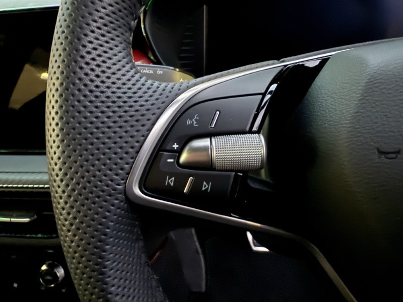 2025 (74) SKODA FABIA 1.0 TSI 116 Monte Carlo 5dr DSG 4824360