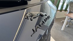 2023 (72) JAGUAR F-PACE 2.0 D200 R-Dynamic Black 5dr Auto AWD 3114656