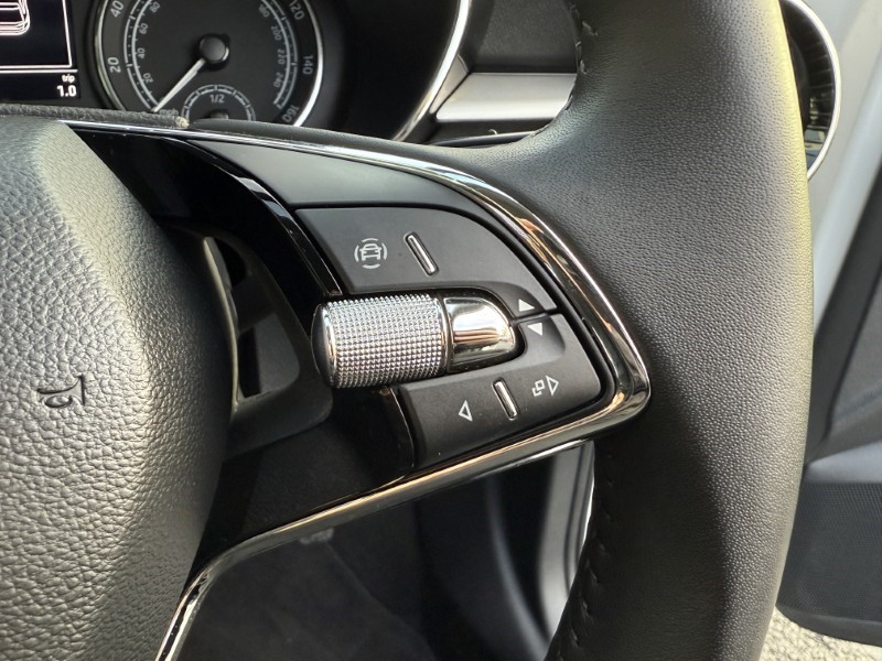 2024 (73) SKODA FABIA 1.0 TSI 110 SE L 5dr DSG 4770738