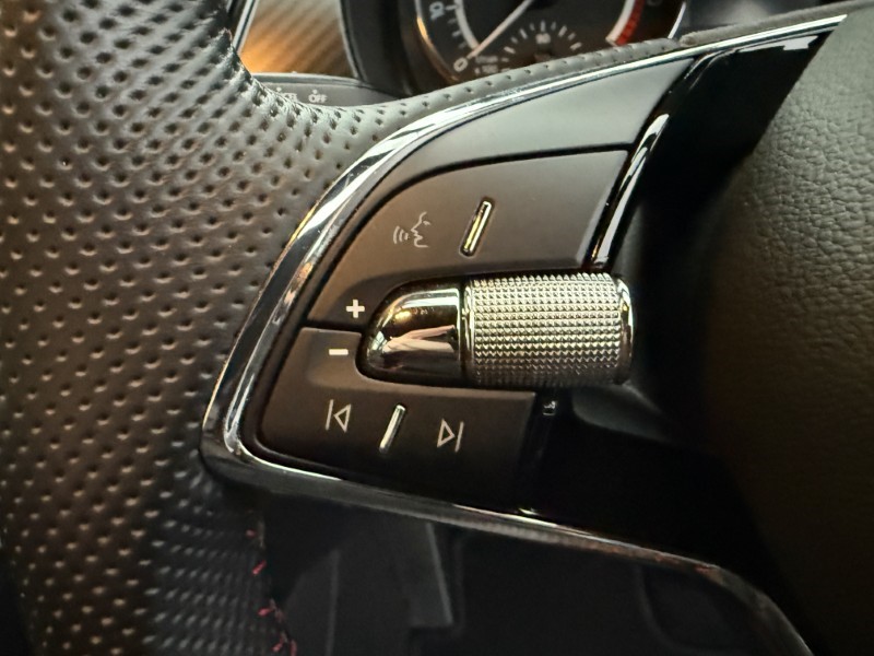 2021 (21) SKODA FABIA 1.0 TSI Monte Carlo 5dr DSG 4819772