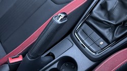 2022 (72) SKODA KAMIQ 1.5 TSI Monte Carlo 5dr DSG 4838709