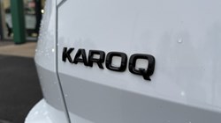 2023 (23) SKODA KAROQ 1.5 TSI Sportline 5dr DSG 4891036
