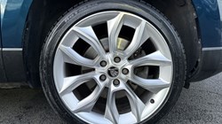 2020 (70) SKODA KAROQ 1.5 TSI Edition 5dr DSG 4902936