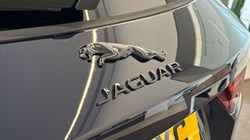 2024 (24) JAGUAR F-PACE 2.0 D200 R-Dynamic HSE Black 5dr Auto AWD 3431251