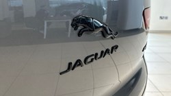 2020 (70) JAGUAR I-PACE 294kW EV400 SE 90kWh 5dr Auto [11kW Charger] 3146350
