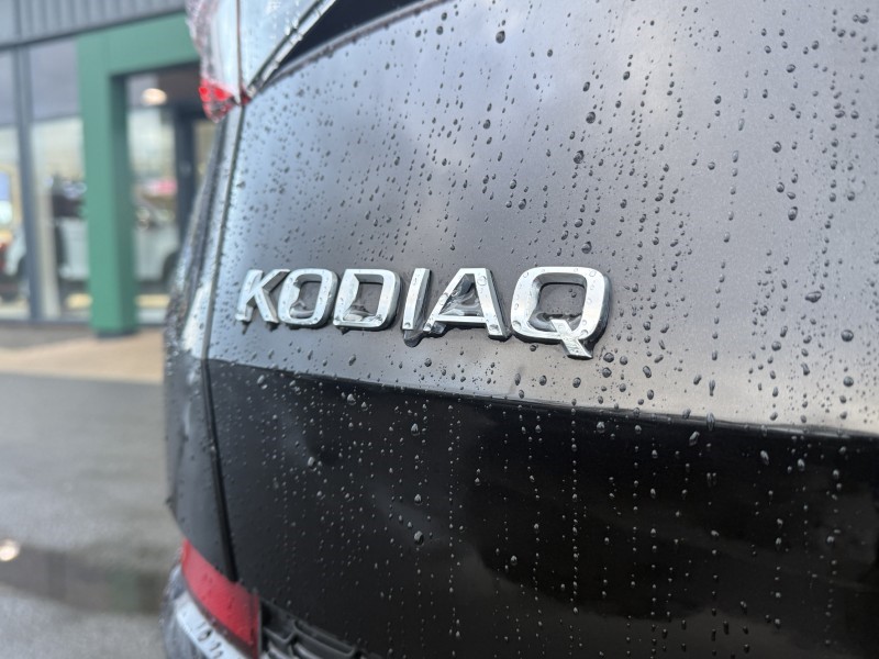 2023 (73) SKODA KODIAQ 1.5 TSI SE L Executive 5dr DSG [7 Seat] 4941617