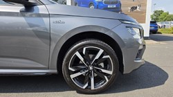 2025 (75) SKODA KAMIQ 1.5 TSI Monte Carlo Edition 5dr DSG 5600683