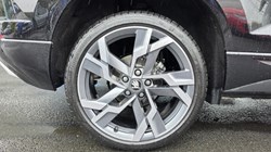 2025 (75) SKODA KAROQ 1.5 TSI Sportline Edition 5dr DSG 5498850