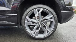 2025 (75) SKODA KAROQ 1.5 TSI Sportline Edition 5dr DSG 5498860