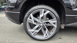 2025 (75) SKODA KAROQ 1.5 TSI Sportline Edition 5dr DSG 5533332