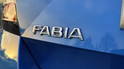 2021 (71) SKODA FABIA 1.0 TSI Colour Edition 5dr 4998844