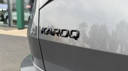 2024 (74) SKODA KAROQ 1.5 TSI Sportline 5dr DSG 5000791