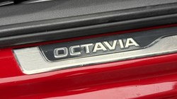 2025 (74) SKODA OCTAVIA 2.0 TSI vRS 5dr DSG 5034722