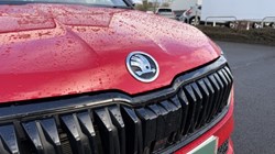 2024 (74) SKODA KAROQ 1.5 TSI Sportline 5dr DSG 5037961