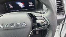 2025 (25) SKODA KAROQ 1.5 TSI SE L Edition 5dr DSG 5292443