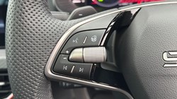 2025 (25) SKODA KAMIQ 1.0 TSI Monte Carlo Edition 5dr DSG 5088174