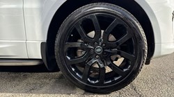 2020 (20) LAND ROVER RANGE ROVER SPORT 3.0 SDV6 HSE Dynamic 5dr Auto 5074871