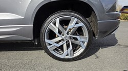 2023 (23) SKODA KAROQ 1.5 TSI Sportline 5dr DSG 5165911