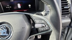 2023 (73) SKODA KAROQ 1.5 TSI Sportline 5dr DSG 5164205