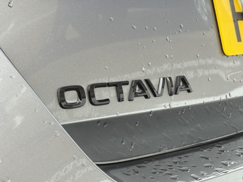 2024 (24) SKODA OCTAVIA 2.0 TSI vRS 5dr DSG 5148584
