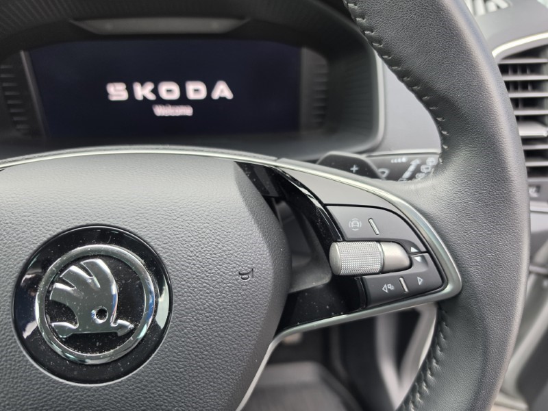 2024 (24) SKODA KAROQ 1.5 TSI SE L 5dr DSG 5158123