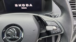 2024 (24) SKODA KAROQ 1.5 TSI SE L 5dr DSG 5158123