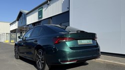2024 (74) SKODA OCTAVIA 1.5 TSI 150 Sportline 5dr 5126878