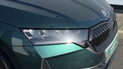 2024 (74) SKODA OCTAVIA 1.5 TSI 150 Sportline 5dr 5126841