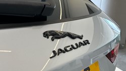 2021 (71) JAGUAR F-PACE 2.0 D200 R-Dynamic HSE 5dr Auto AWD 3163313