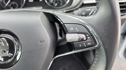 2023 (73) SKODA FABIA 1.0 TSI 110 SE L 5dr DSG 5175431