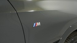 BMW X6 xDrive40d M Sport 5dr Auto 5428393