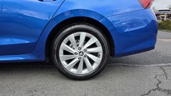 2025 (25) SKODA OCTAVIA 2.0 TDI 150 SE L 5dr DSG 5176709