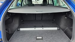 2025 (25) SKODA OCTAVIA 2.0 TDI 150 SE L 5dr DSG 5176720
