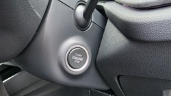 2025 (25) SKODA OCTAVIA 2.0 TDI 150 SE L 5dr DSG 5176748