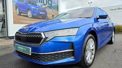 2025 (25) SKODA OCTAVIA 2.0 TDI 150 SE L 5dr DSG 5176705