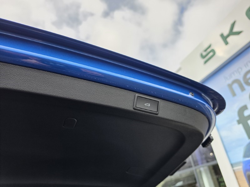 2025 (25) SKODA OCTAVIA 2.0 TDI 150 SE L 5dr DSG 5176719