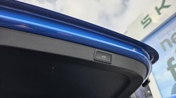 2025 (25) SKODA OCTAVIA 2.0 TDI 150 SE L 5dr DSG 5176719