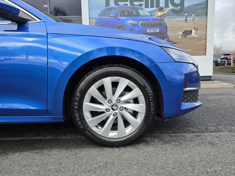 2025 (25) SKODA OCTAVIA 2.0 TDI 150 SE L 5dr DSG 5176694