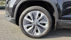 2023 (23) SKODA KAROQ 2.0 TDI SE L 5dr 5204361