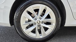 2023 (73) SKODA OCTAVIA 2.0 TDI 150 SE L 5dr DSG 5263663