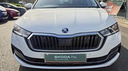 2023 (73) SKODA OCTAVIA 2.0 TDI 150 SE L 5dr DSG 5263657