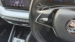 2023 (73) SKODA OCTAVIA 2.0 TDI 150 SE L 5dr DSG 5263687