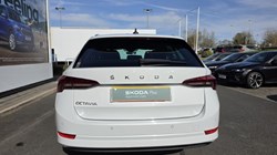 2023 (73) SKODA OCTAVIA 2.0 TDI 150 SE L 5dr DSG 5263651