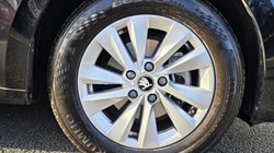 2026 (26) SKODA OCTAVIA 2.0 TDI 150 SE Technology 5dr DSG 5883315